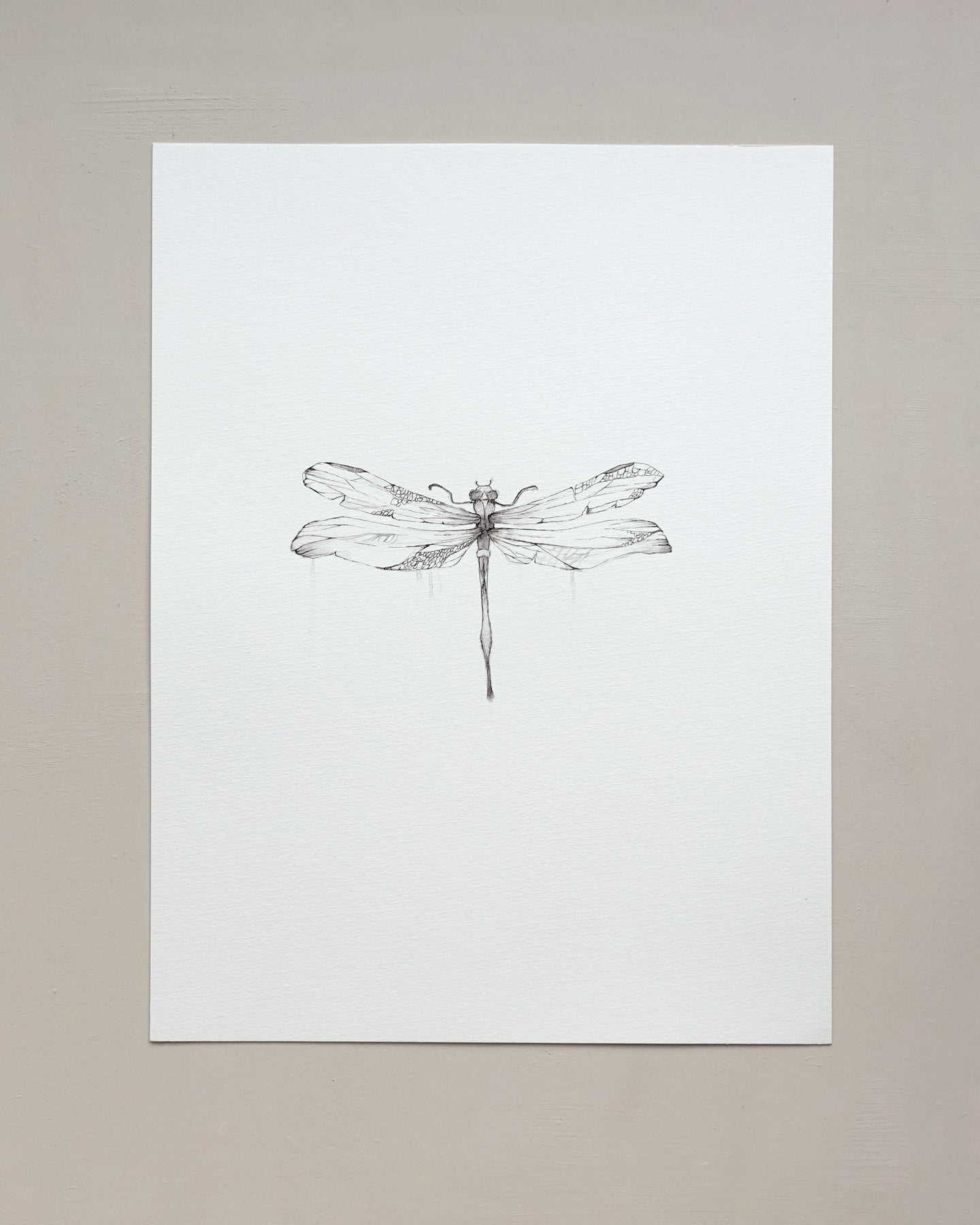 Dragonfly Original art