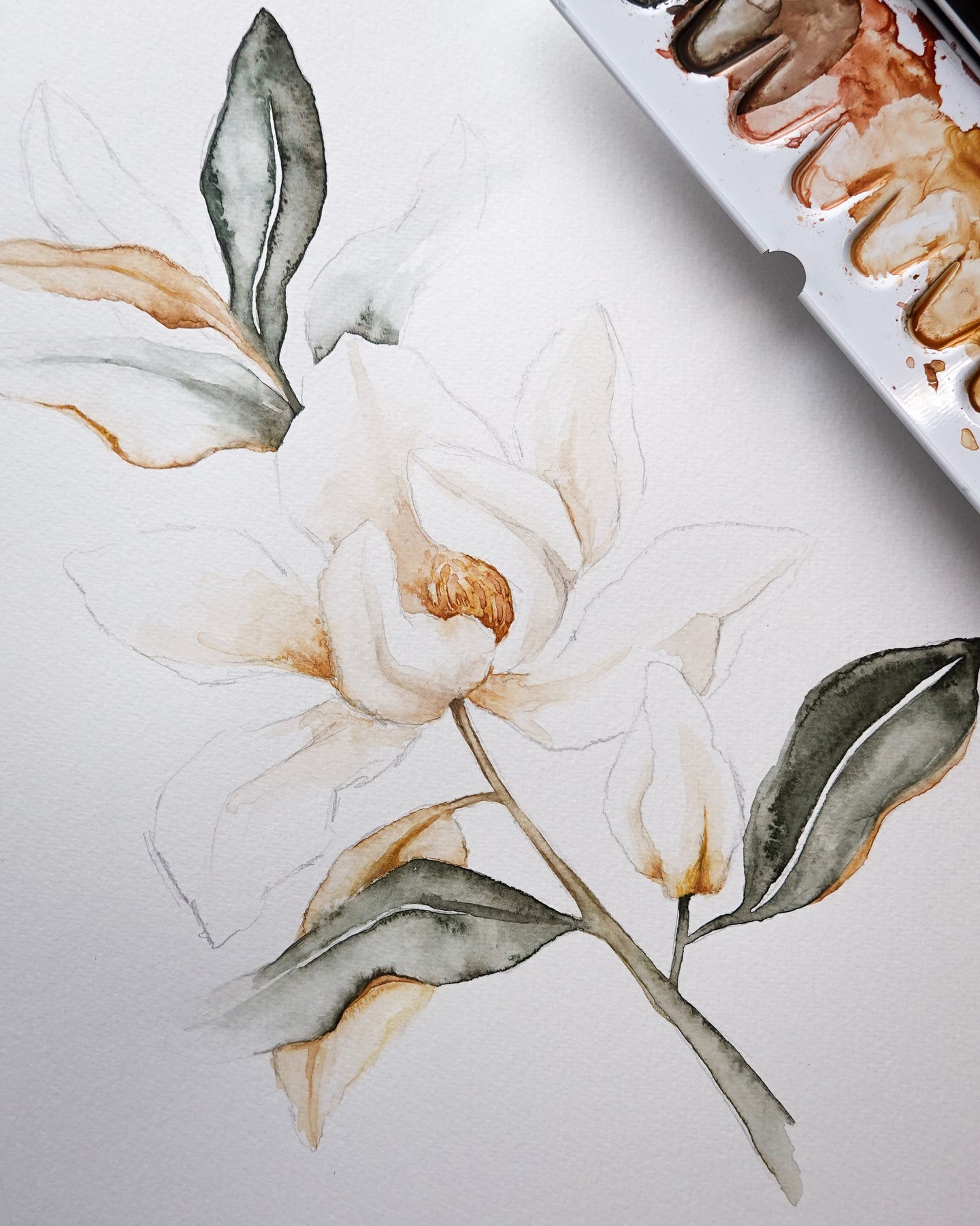 Magnolia Grandiflora 01 original watercolor