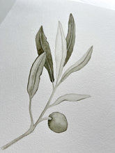 Load image into Gallery viewer, Olive branch 05 Original watercolor
