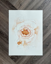 Load image into Gallery viewer, Peonies 01 original watercolor
