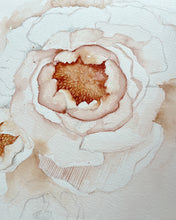 Load image into Gallery viewer, Peonies 01 original watercolor
