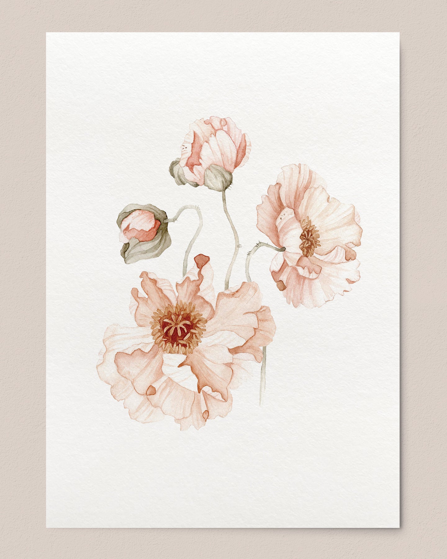 Icelandic Poppies 01 Print