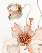 Load image into Gallery viewer, Icelandic Poppies 01 Print
