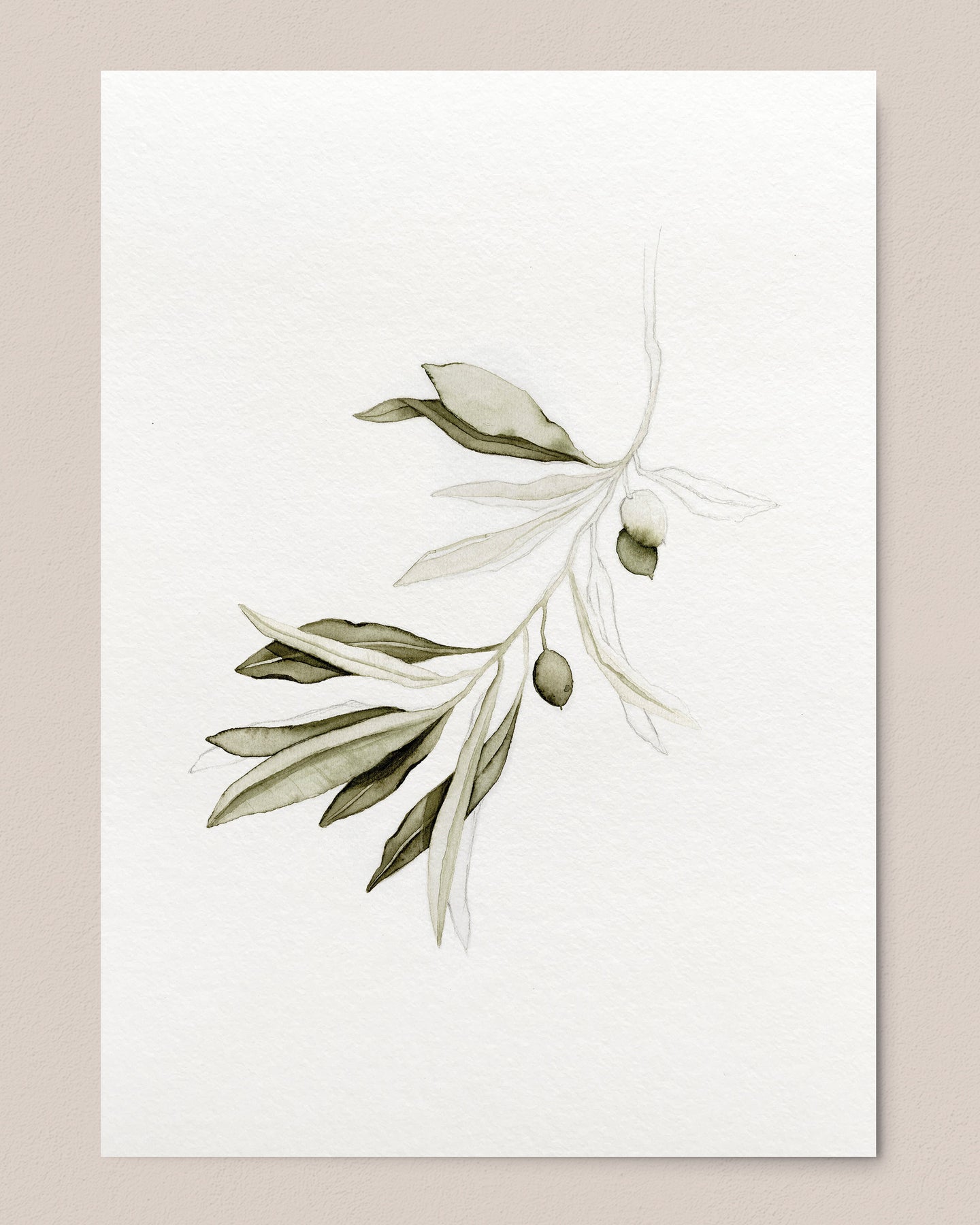 Olive Branch Print