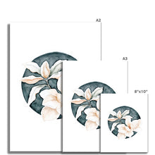 Load image into Gallery viewer, Magnolia Grandiflora 02 Print
