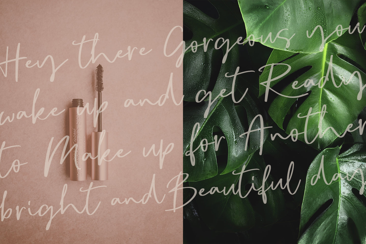 Sophia Reign Font duo – Angele Kamp